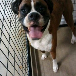 Meet your Posher, Margaret